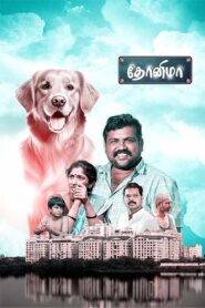 MOVIESDhonima (2024) Tamil